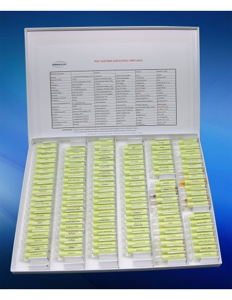 Test de Sistema Endocrino