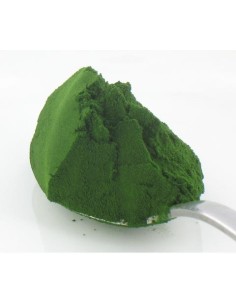 Chlorelle en poudre 500g 2