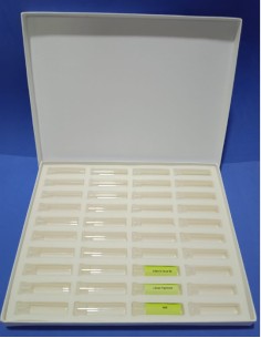 Boîte  de 40 u. (D. 1,2 cm)