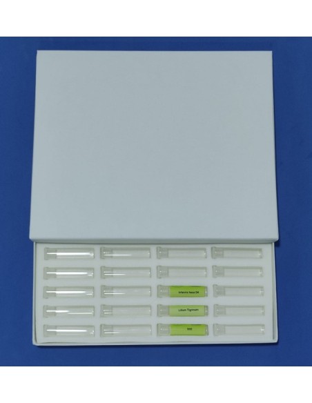 Caja de 40 u. (D. 1,2 cm) - NUEVO DISEÑO