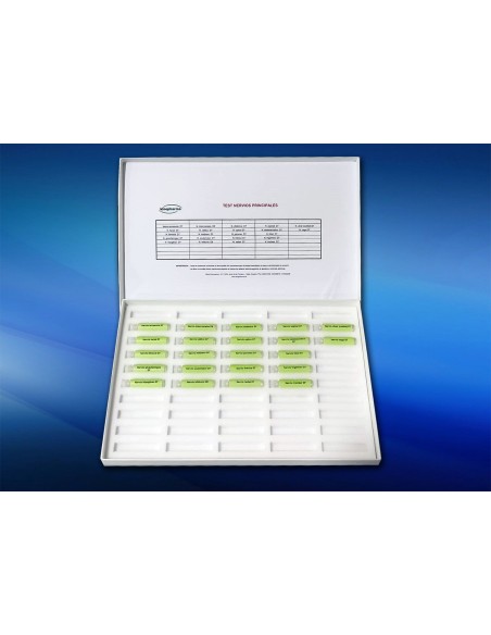 Test de nervios principales