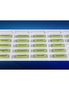 Test de nervios principales 2