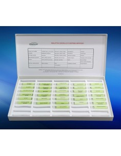 Enfermedades cerebro y sistema nervioso