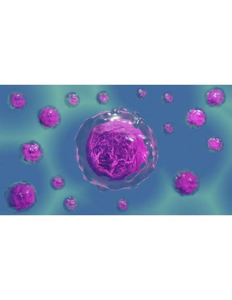 Test de traitement  de candidiasis