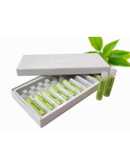 Caixa de papelão 10 com molde de plástico