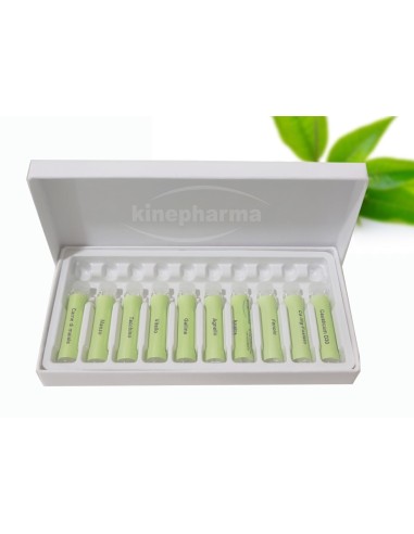 Caixa de papelão 10 com molde de plástico