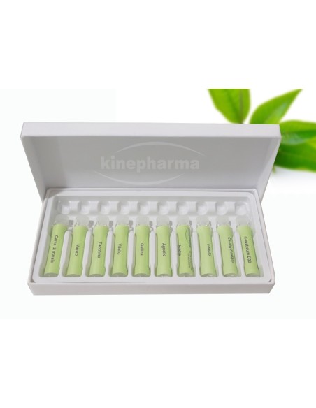 Caixa de papelão 10 com molde de plástico