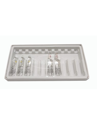 Scatola di cartone 10 con stampo in plastica