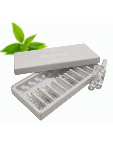 Scatola di cartone 10 con stampo in plastica