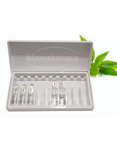 Scatola di cartone 10 con stampo in plastica