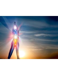 Test de géopathologie étendu 2