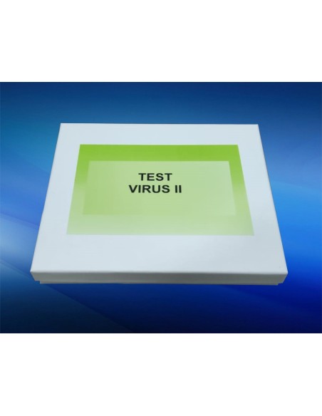 Test di virus (II)