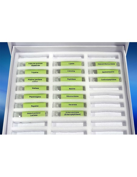 Kit d'enzymes digestives