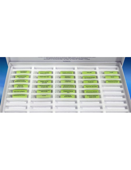 Kit des maladies endocriniennes