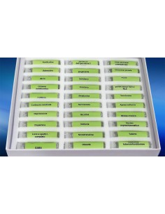 Teste de distúrbio do sono 2