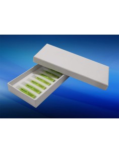 Caja de carton 10 (nuevo diseño)