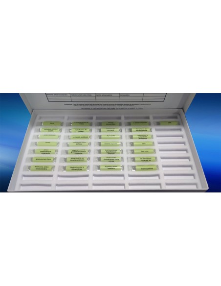 Doenças do sistema circulatório