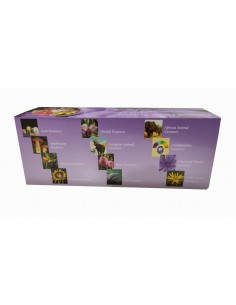 Set flores de Bach 15ml Phi Essences 2