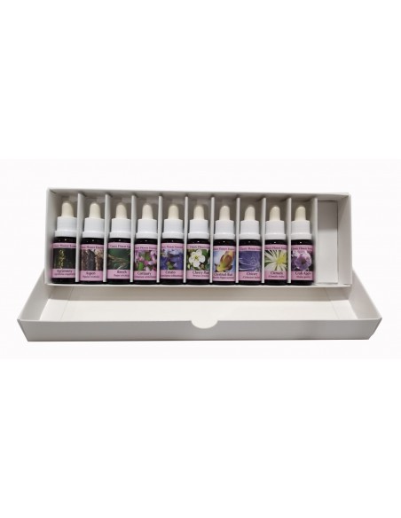 Set fleurs de Bach 15ml Phi Essences
