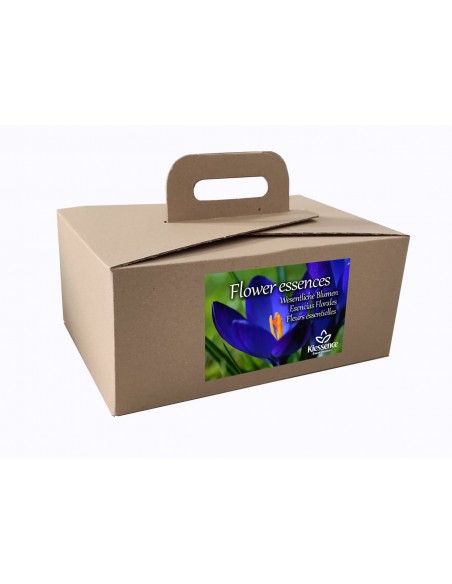 Set Florais de Bach 15 ml KIESSENCE