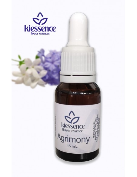 Florais de Bach 15 ml - KIESSENCE