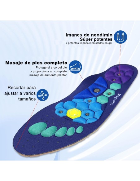 Plantillas Magnéticas