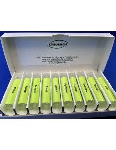 Test huesos del craneo 2