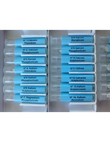 Test sales Schussler ampliado