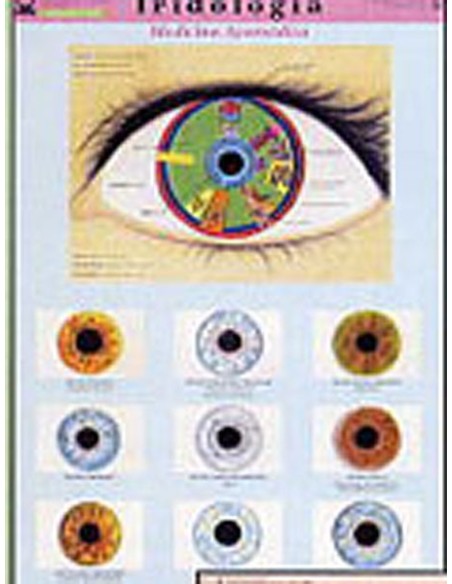 Lámina iridiología