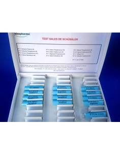 Testaje sales de Schussler 2