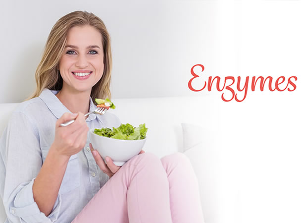 Enzymes alimentaires
