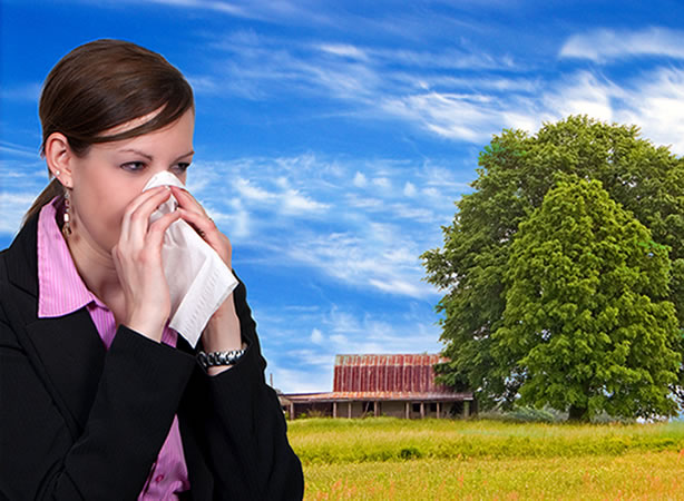 Cómo puede ayudarnos la kinesiología con la alergia al polen