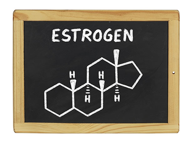 estrogeni 