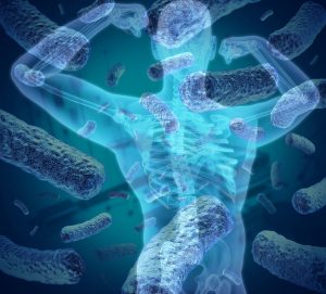 cepas bacterianas, microbioma
